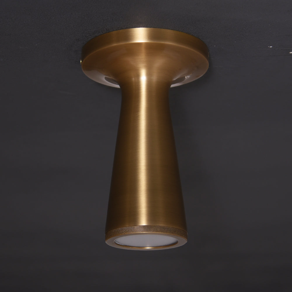 Tenka Flush Mount Brass